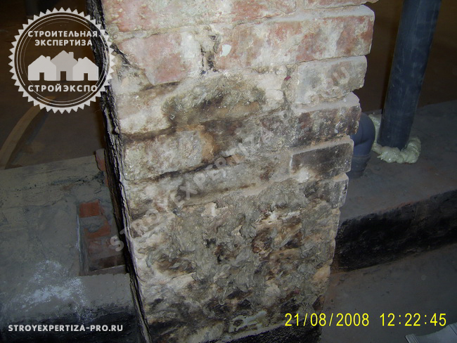  Оценка степени поражения грибком стен здания перед покупкой