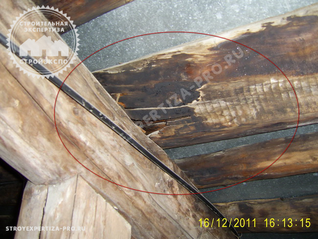  Оценка технического состояния деревянных конструкций крыши старинного здания перед покупкой